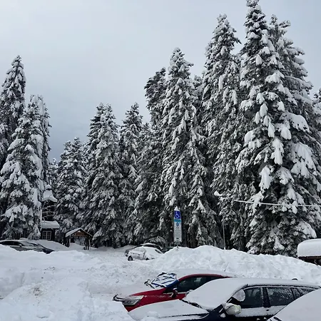 Snowline Park 217 Borovets